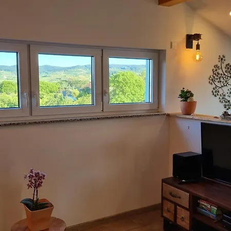 公寓 Bonita Del Kaiserstuhl Fewo1 *